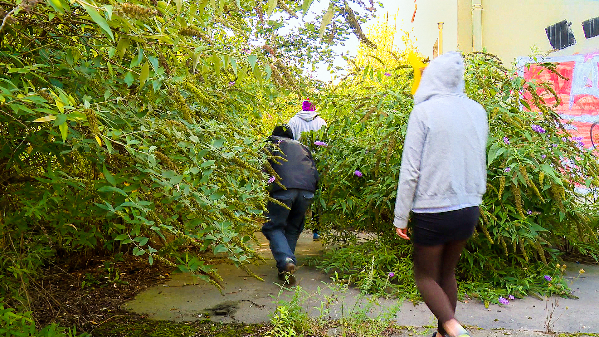 Pressebild-gegenteilgrau-RaumRäuber-Dortmund