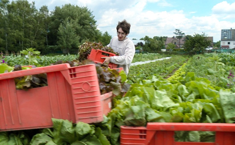 Recht op eigen stad, het Ruhrgebied vs&nbsp;NL